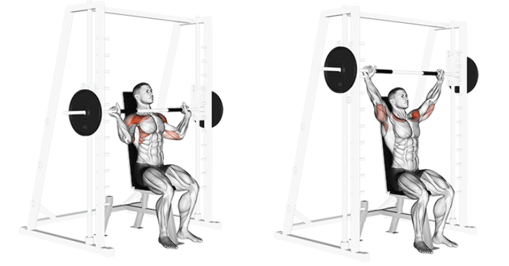 Smith-machine press for building shoulders