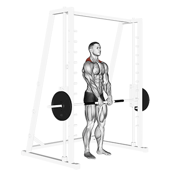 Smith-machine shrugs for building traps, low position