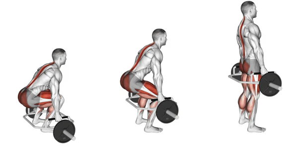 Trap back deadlifts, build thick back and strong posterior chain