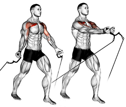 Low Pulley Cable Crossover for Upper Chest